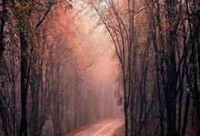 格陵兰岛独立之路：拒绝成为美国领土的坚定决心