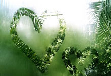 田学斌违纪违法事件：揭开权力滥用黑幕